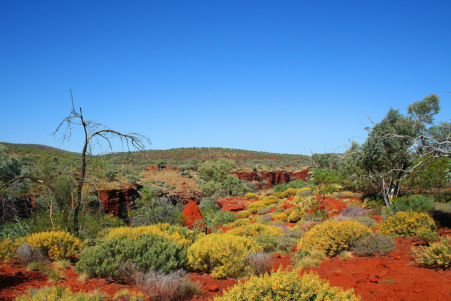 The Pilbara Image 0